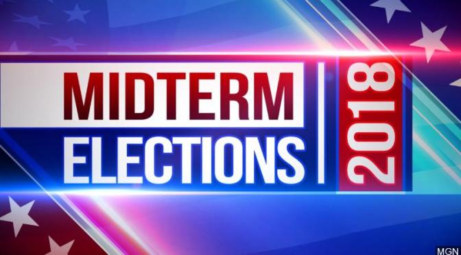 2018 Midterm Election Guide: The Results